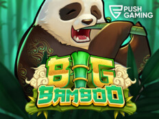 Bingo casino games16